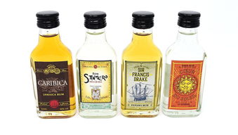 甜酒之趣 慶祝與幽默的靜物藝術(shù)