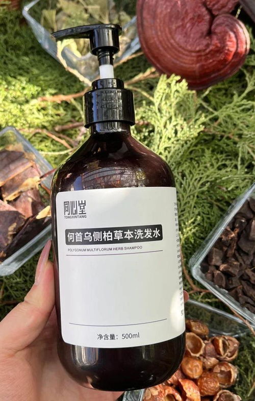 告別脫發困擾！2024平價防脫育發產品盤點，這四款值得一試